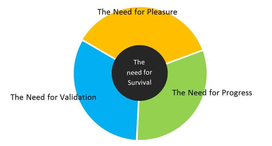 Wheel of Needs